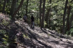 The Terrace Mountain Trail is well-maintained and defined. Photo by Ed Stoddard, Raystown.org